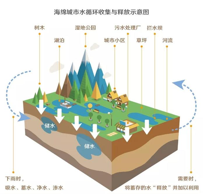 海绵城市的“绿色心脏”如何收集雨水